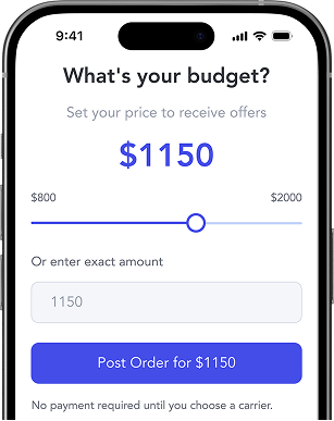 iPhone showing budget selection
